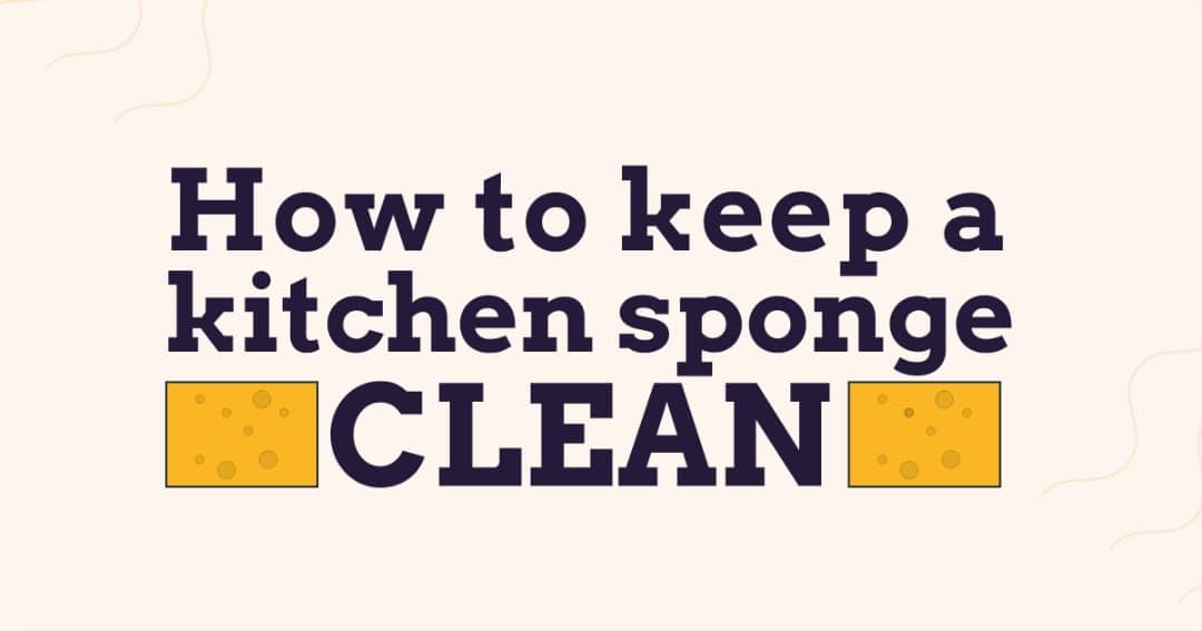 How Worried Should I Be About Bacteria on Kitchen Sponges