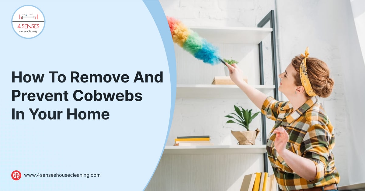 How To Remove And Prevent Cobwebs In Your Home Blog 0602