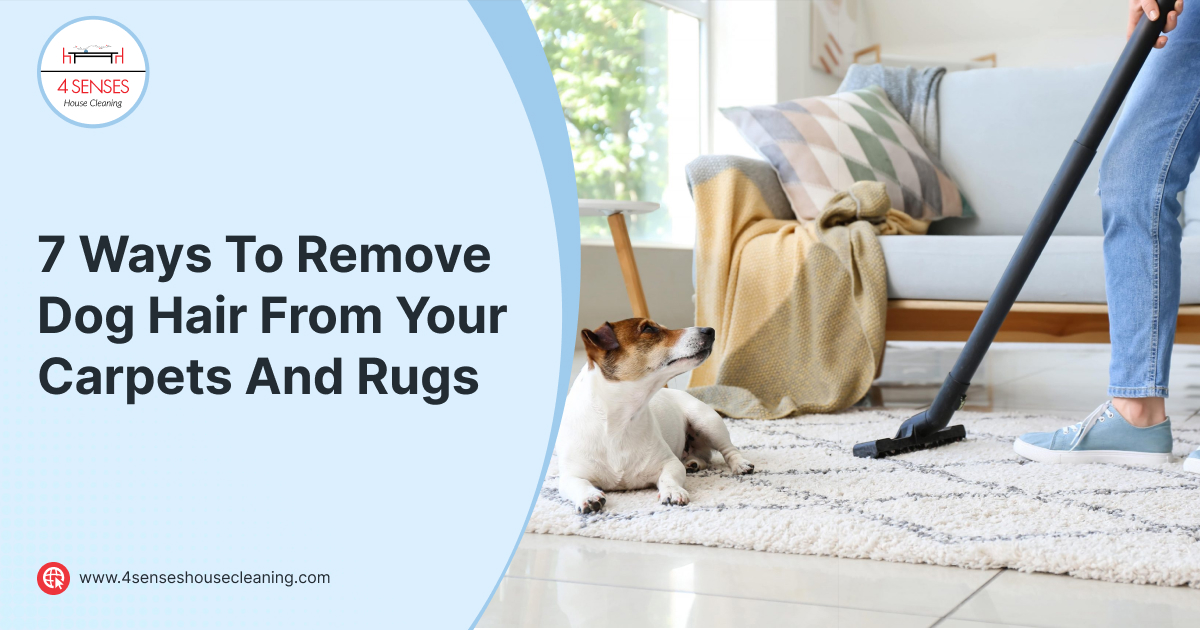 7 Ways To Remove Dog Hair From Your Carpets And Rugs Blog
